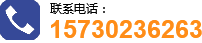 1491715391722503.png